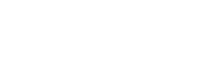 LinguaMind logo